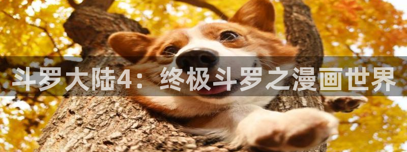 皮皮喵漫画书源