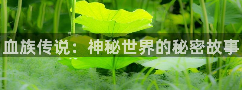 皮皮喵漫画怎么用